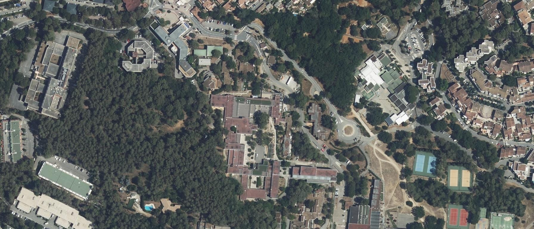 Lycée International de Valbonne