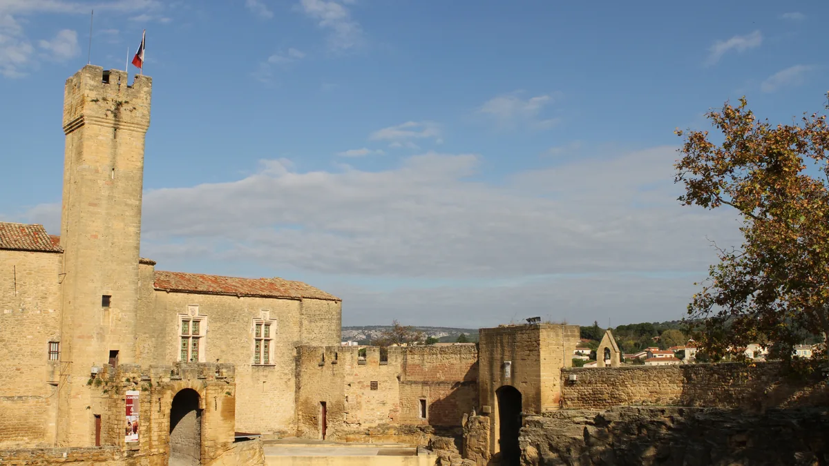 Le château de l'Empéri à Salon-de-Provence : donjon carré en pierre dorée avec un drapeau, remparts et toits de tuiles, un platane à droite.