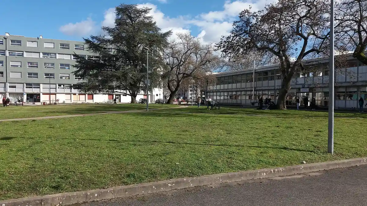 L'esplanade du premier cycle de l'INSA Lyon : une pelouse bordée d'arbres, un bâtiment bas vitré à droite et un immeuble de résidence gris à gauche.