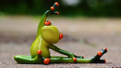 des sports, gymnastique, la grenouille, amusement, aptitude, en forme, sportif, entraînement, gymnastique, gymnastique, gymnastique, gymnastique, gymnastique, sportif