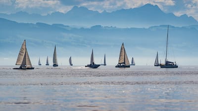 voiliers, régate, lac de constance, voile, sport, navires, voile, sport, sport, sport, sport, sport