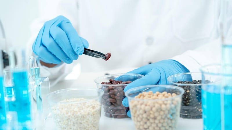 chimique, aliments, laboratoire, science, chimie, inspecter, scientifique, microscope, médicament, recherche, la biologie, une analyse, biotechnologie, vérification, inspection, qualité, biochimie, chimiste, biologique, médical, microbiologique, en sécurité