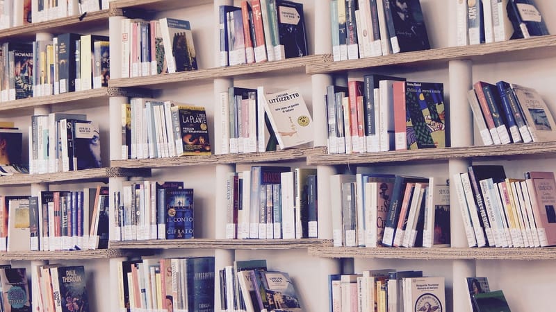 livres, une bibliothèque, lis, étagères, étagère, en train de lire, culture, livre, édition, livres, livres, livres, livres, livre, livre, livre, livre, livre