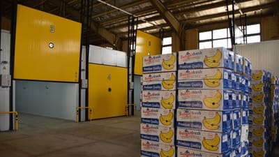Installation industrielle de maturation de bananes à Ispahan avec des boîtes empilées et des chambres.
