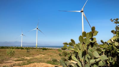 Vue pittoresque des éoliennes et des cactus sous un ciel bleu clair.