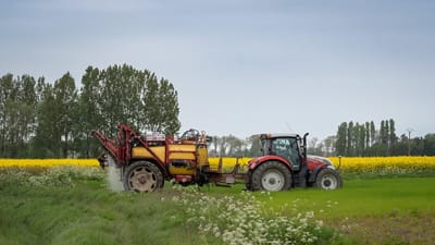 agriculture, tracteur, véhicule agricole, paysage, machine de pulvérisation, fermier, fleurs de colza, champ de colza, désherbant, pulvérisation, labour, sur le terrain, la campagne, fond agricole, papier peint agricole