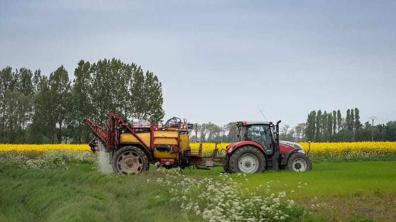 agriculture, tracteur, véhicule agricole, paysage, machine de pulvérisation, fermier, fleurs de colza, champ de colza, désherbant, pulvérisation, labour, sur le terrain, la campagne, fond agricole, papier peint agricole