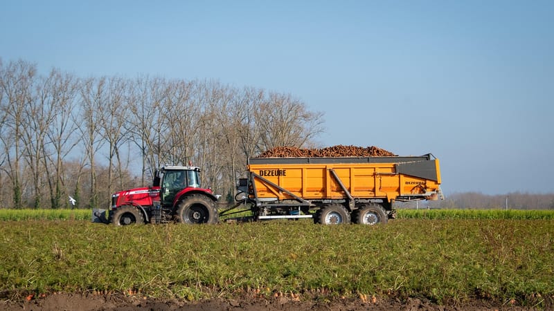 sur le terrain, agriculture, tracteur, transports agricoles, paysage, matériel agricole, la campagne, rural, tracteur, tracteur, tracteur, tracteur, tracteur