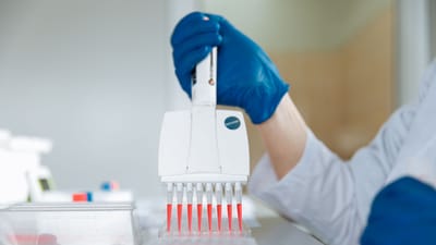 Gros plan d'un technicien de laboratoire utilisant une pipette multicanaux pour des tests en laboratoire.