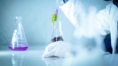 Scientifique versant un liquide dans un bécher avec une plante pour une expérience de laboratoire.