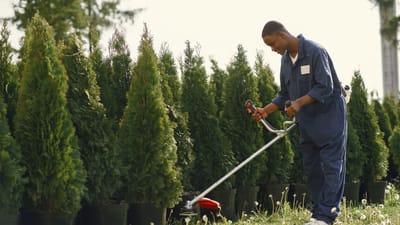 Homme utilisant une tondeuse à gazon pour tailler des arbres dans un jardin ensoleillé.