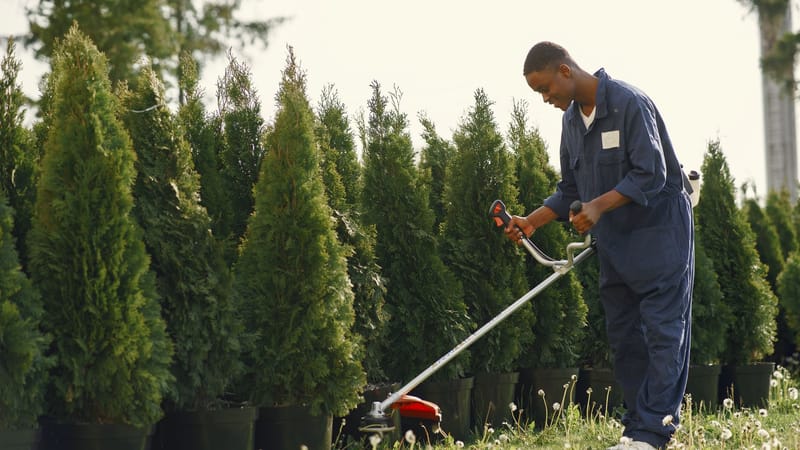 Homme utilisant une tondeuse à gazon pour tailler des arbres dans un jardin ensoleillé.