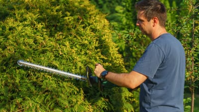 Un homme utilise un taille-haie électrique pour façonner une haie de jardin, mettant en valeur des compétences en aménagement paysager précises.