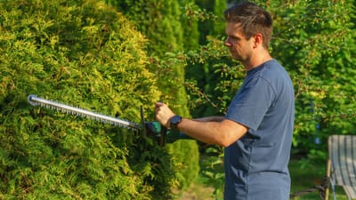 Homme taillant une haie avec un taille-haie électrique dans un jardin ensoleillé.