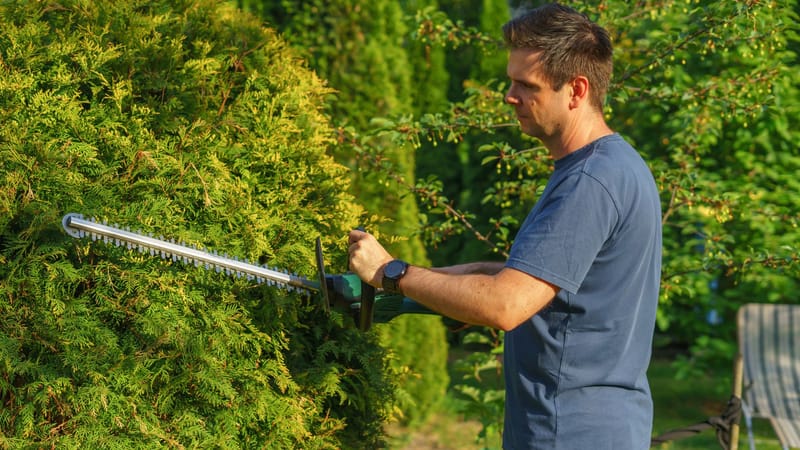 Homme taillant une haie avec un taille-haie électrique dans un jardin ensoleillé.