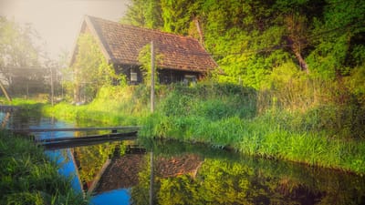 élevage de truites, aquaculture, fleuve, paysage, nature, cabane, forêt, prairie, gazon