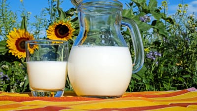 le lait, verre, lanceur, frais, lait frais, boire, boisson, laitier, produits laitiers, pichet en verre, en bonne santé, délicieux, vitamines, liquide, lait de vache, protéine, nutrition, laitier, produits laitiers, produits laitiers, produits laitiers, produits laitiers, produits laitiers