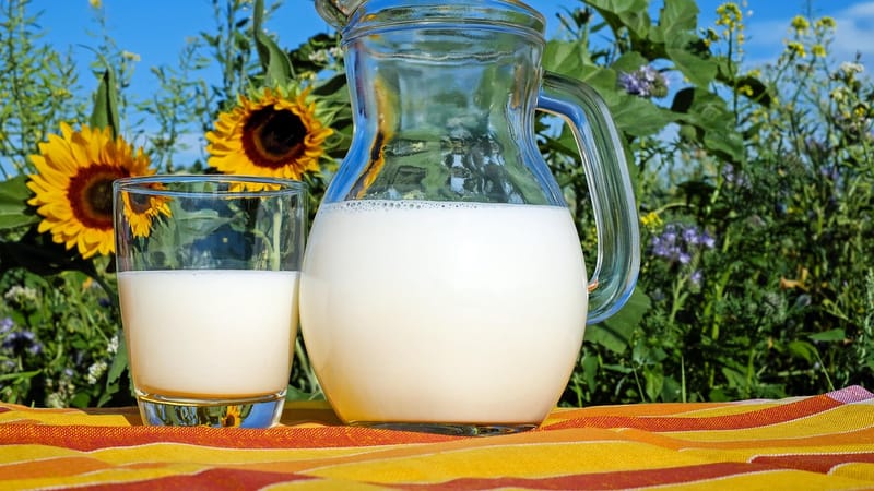 le lait, verre, lanceur, frais, lait frais, boire, boisson, laitier, produits laitiers, pichet en verre, en bonne santé, délicieux, vitamines, liquide, lait de vache, protéine, nutrition, laitier, produits laitiers, produits laitiers, produits laitiers, produits laitiers, produits laitiers