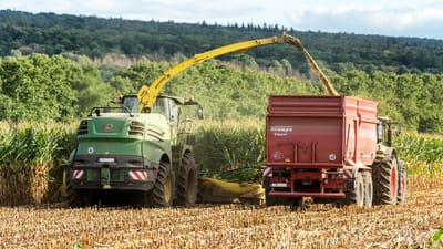 maïs, récolter, agriculture, récolte de maïs, champ de blé, moissonneuse-batteuse, tracteur, équipement, machine, allemagne, fronde, des champs, maïs fourrager, tombe, génie agricole, machine agricole