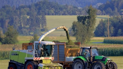 tracteur, agriculture, machines agricoles, fourrage vert, machine de travail, moissonneuse, récolter, génie agricole, ensilage, agricultural economics, ensileuse, tracteur, moissonneuse, ensilage, ensilage, ensilage, ensilage, ensilage, ensileuse, ensileuse, ensileuse