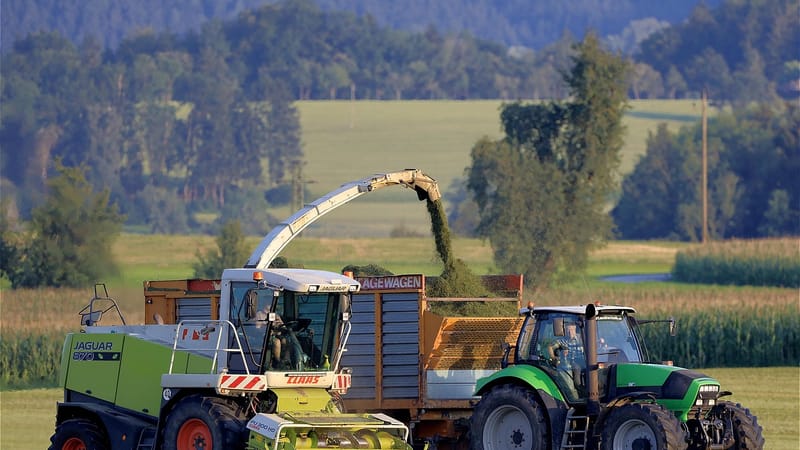 tracteur, agriculture, machines agricoles, fourrage vert, machine de travail, moissonneuse, récolter, génie agricole, ensilage, agricultural economics, ensileuse, tracteur, moissonneuse, ensilage, ensilage, ensilage, ensilage, ensilage, ensileuse, ensileuse, ensileuse