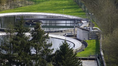 eaux usées, station d'épuration, nettoyage à l'eau, traitement des eaux usées, plantes