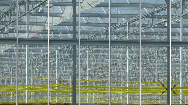 serre, architecture, horticulture, structure, lignes, plantes, nature, l'écosystème, l'écologie