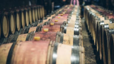 Vue rapprochée de fûts de vin en bois alignés vieillissant dans une cave peu éclairée.