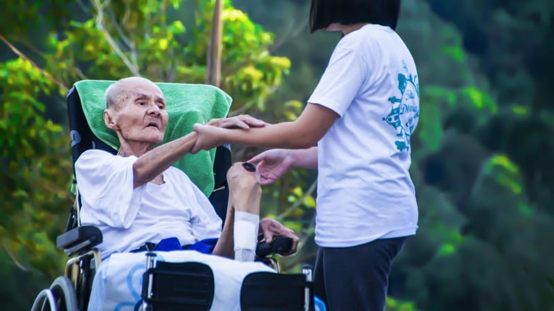 hospice, les soins aux personnes âgées, aider, âgé, patient, infirmière, soignant, support, allaitement, portion, gens, pour l'entraide, désactivée, vieilli, invalidité, soins aux personnes âgées, aîné, assistance, vieille, se soucier, le concierge, utile