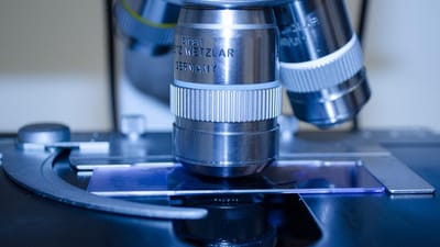 microscope, laboratoire, recherche, médical, glisser, instrument, verre, optique, virus, micro, se soucier, santé, fermer, chimie, expérience, viseur, microscopie, assiette, examen minutieux, goûter, étudier, biotechnologie, découvrez, découverte, une analyse, bleu virus, bleu de santé, bleu médical, étude bleu, verre bleu, bleu recherche, bleu étudier, bleu de laboratoire, verres bleus, bleu soins, bleu chimie, bleu fermé, microscope, microscope, microscope, laboratoire, laboratoire, laboratoir