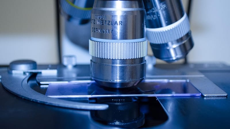 microscope, laboratoire, recherche, médical, glisser, instrument, verre, optique, virus, micro, se soucier, santé, fermer, chimie, expérience, viseur, microscopie, assiette, examen minutieux, goûter, étudier, biotechnologie, découvrez, découverte, une analyse, bleu virus, bleu de santé, bleu médical, étude bleu, verre bleu, bleu recherche, bleu étudier, bleu de laboratoire, verres bleus, bleu soins, bleu chimie, bleu fermé, microscope, microscope, microscope, laboratoire, laboratoire, laboratoir