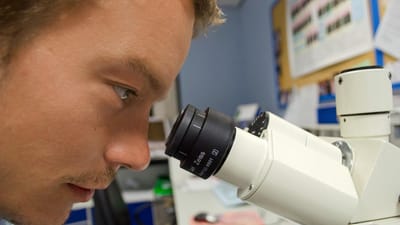 gens, scientifique, microscope, blanche, chimie, microscopie, cher, stéréo, outil, biotechnologie, équipement, objet, recherche, la biologie, science, professionnel, laboratoire, scientifique, scientifique, scientifique, scientifique, microscope, microscope, laboratoire, laboratoire, laboratoire, laboratoire, laboratoire