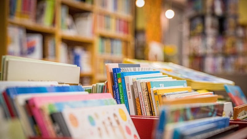 livres, une bibliothèque, étagères, librairie, littérature, information, éducation, étudier, connaissance, livres, livres, livres, livres, livres, librairie, librairie, librairie
