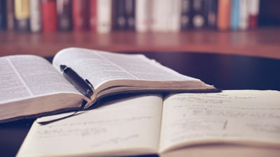 livre ouvert, une bibliothèque, éducation, lis, livre, l'école, littérature, étudier, connaissance, texte, information, en train de lire, en train d'étudier, livre, livre, livre, livre, livre