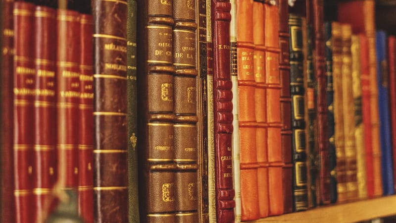 livre, bibliothèque, ancien, librairie, lecture, étagères, littéraire, connaissances, l'éducation, bibliothèque, bibliothèque, bibliothèque, bibliothèque, bibliothèque, librairie, librairie