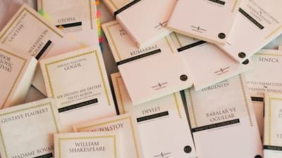 Un assortiment de livres de littérature classique avec divers titres célèbres affichés.