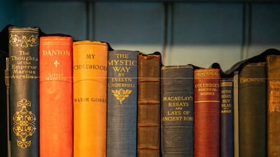 Une rangée de livres anciens à couverture rigide, aux reliures élégantes et aux titres classiques de la littérature.