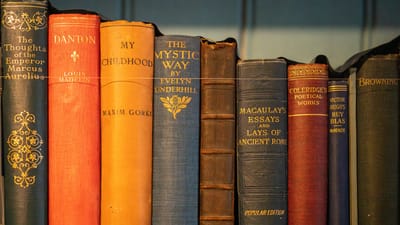 Une collection de livres anciens exposés sur une étagère, mettant en valeur la littérature classique.