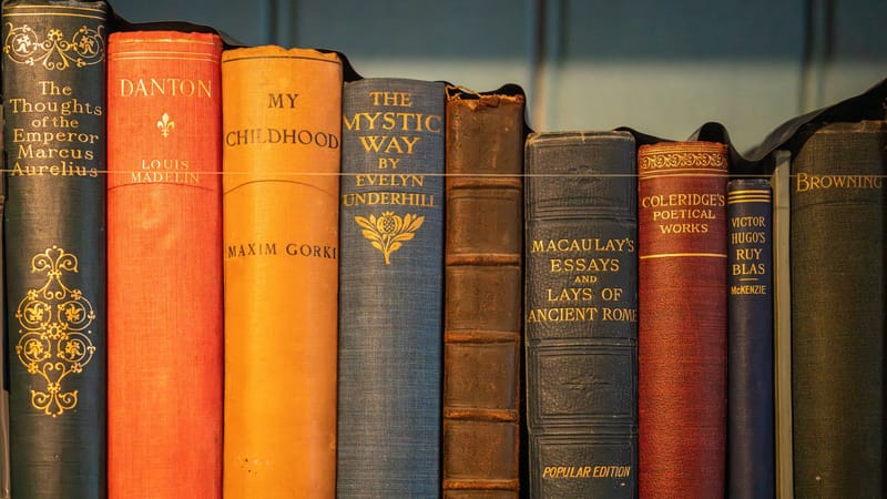 Une collection de livres anciens exposés sur une étagère, mettant en valeur la littérature classique.