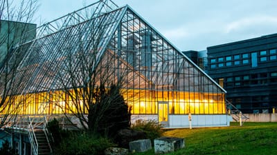 serre, imeuble, l'architecture, façade, éclairage, moderne, campus, université, paris-saclay