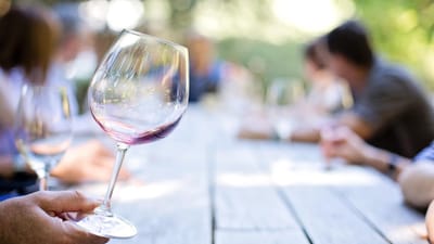 verre de vin, vin, verre, dégustation de vins, vignoble, vin, vin, vin, vin, vin