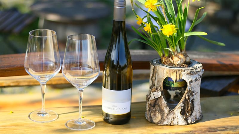 verre de vin, vin, le printemps, relaxation, jouissance, bouteille, le restaurant, date de naissance, nature, dégustation de vins