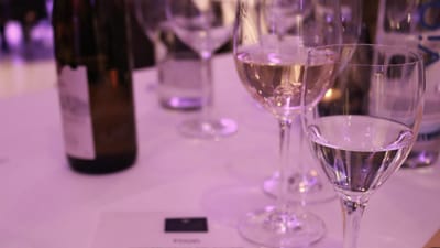 vin, weintreffen, dégustation de vins, bouteille de vin, vin rouge, bouteilles de vin, des dégustations de vins, breuvages, dîner, vin blanc, vigneron, prost, la gastronomie, vignoble, le restaurant
