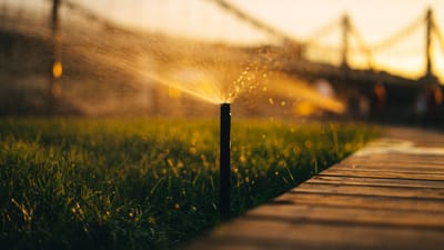 Un arroseur irriguant une pelouse verte avec la lumière du soleil filtrant à travers les gouttes d'eau.