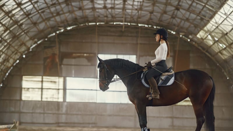 Femme dans une salle d'équitation s'entraînant sur un cheval. Vue de côté illustrant les compétences équestres.