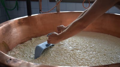 fromage, fabrication, le lait
