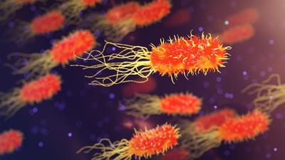 bactéries, microbiologie, organisme, la biologie, science, médicament, soins de santé, microscopique, maladie, génétique, bactéries, bactéries, bactéries, bactéries, bactéries, microbiologie, microbiologie, microbiologie, science, science, science, science, maladie, maladie, maladie, maladie, maladie