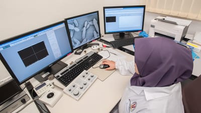 microscope électronique à balayage, universiti malaysia sabah, institut de recherche en biotechnologie