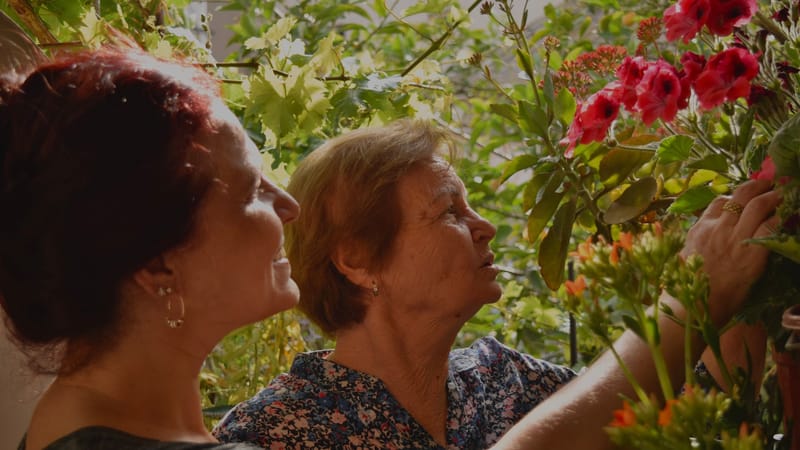 Une femme adulte et âgée s'occupe avec amour de plantes dans un jardin ensoleillé.