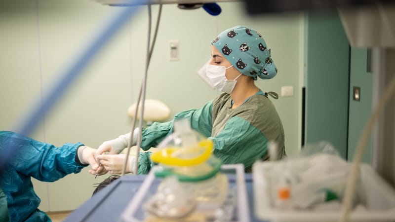 Une infirmière concentrée, portant un masque chirurgical, assiste un chirurgien lors d'une intervention dans une salle d'opération.